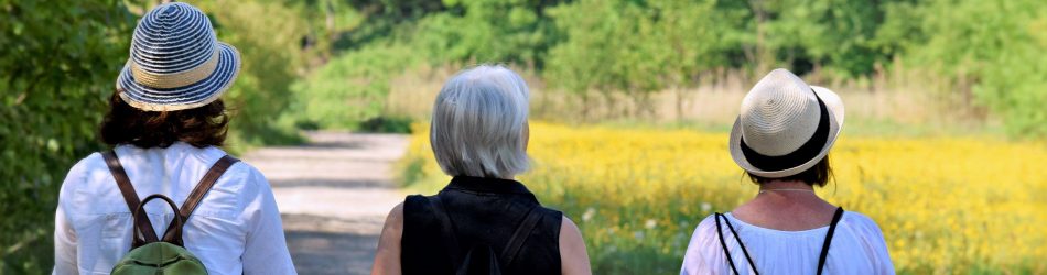 Frauen von hinten gehen wandern